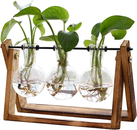 XXXFLOWER Plant Terrarium - Home Decor luxury furniture for sale